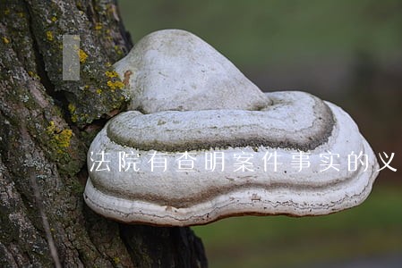 法院有查明案件事实的义务吗 法院有查明案件事实的义务吗