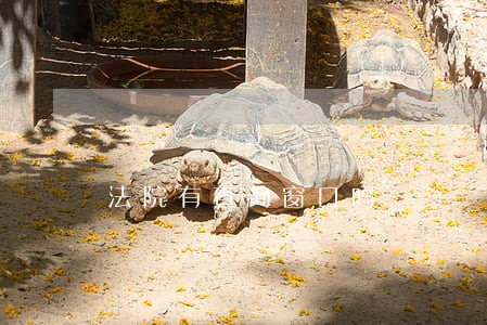 法院有查询窗口吗 法院有查询窗口吗
