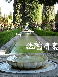 法院有案子就不能买机票吗 法院有案子就不能买机票吗