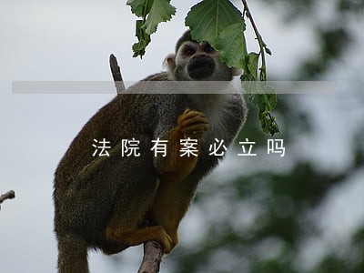 法院有案必立吗