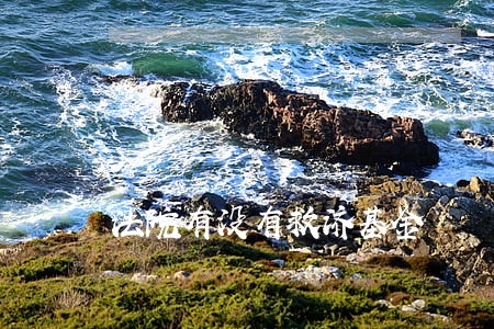 法院有没有救济基金