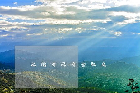 法院有没有金融庭 法院有没有金融庭
