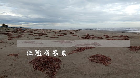 法院有答案 法院有答案