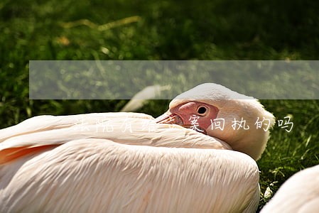 法院有给立案回执的吗 法院有给立案回执的吗