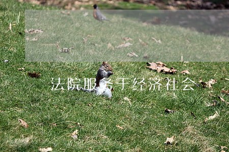 法院服务于经济社会