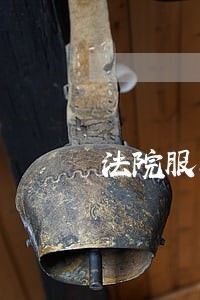 法院服务军队全面停偿工作 法院服务军队全面停偿工作
