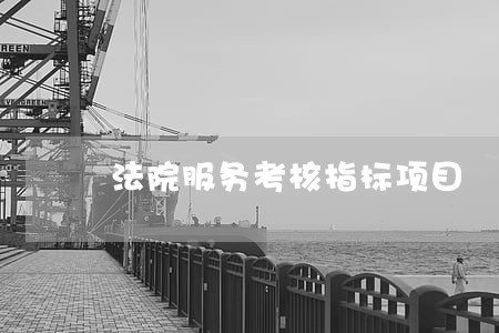 法院服务考核指标项目 法院服务考核指标项目