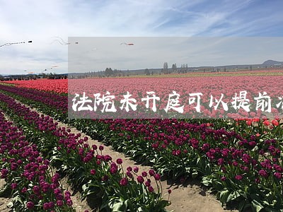 法院未开庭可以提前冻结资产嘛 法院未开庭可以提前冻结资产嘛