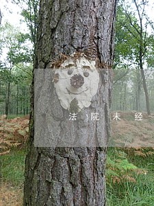 法院未经证实就冻结账户 法院未经证实就冻结账户