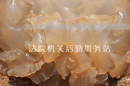 法院机关后勤服务站 法院机关后勤服务站