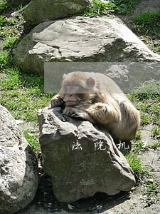 法院机关安全的第一道防线