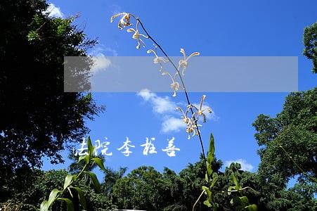法院李柱善 法院李柱善