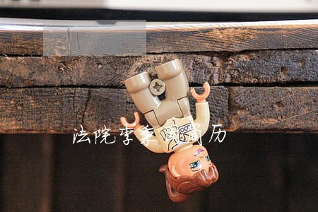 法院李秉国简历