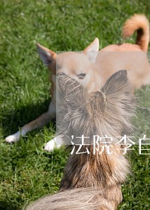 法院李自强诈骗判决书 法院李自强诈骗判决书