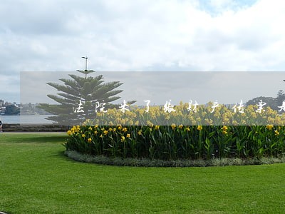 法院来了张财产传票是什么意思啊 法院来了张财产传票是什么意思啊