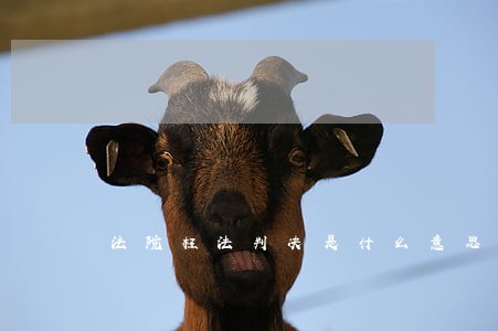 法院枉法判决是什么意思 法院枉法判决是什么意思