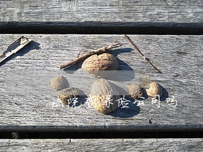 法院查保险公司吗 法院查保险公司吗