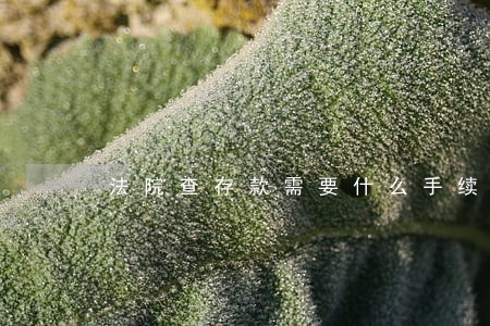 法院查存款需要什么手续 法院查存款需要什么手续