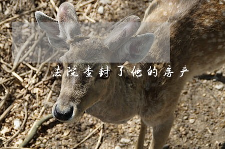 法院查封了他的房产
