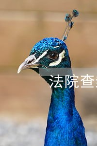 法院查封了我的车库 法院查封了我的车库