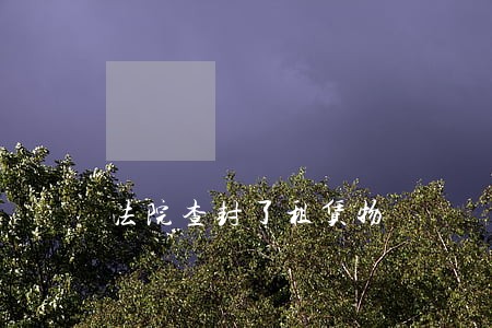 法院查封了租赁物 法院查封了租赁物