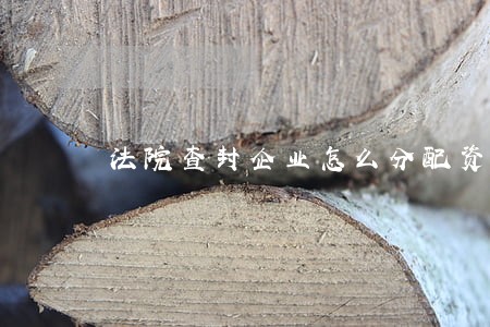 法院查封企业怎么分配资产 法院查封企业怎么分配资产