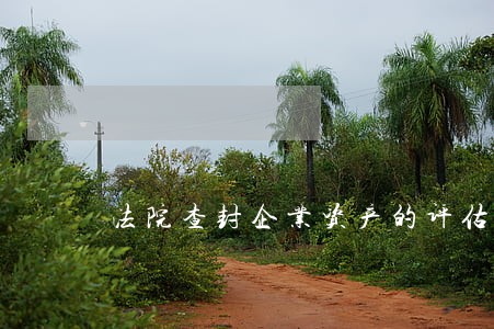 法院查封企业资产的评估报告 法院查封企业资产的评估报告
