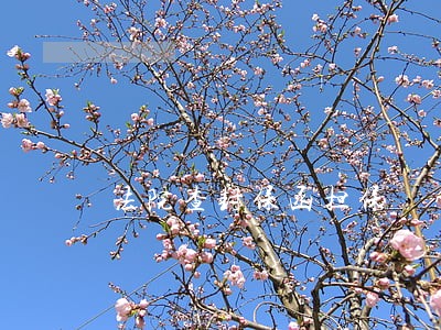 法院查封保函担保 法院查封保函担保