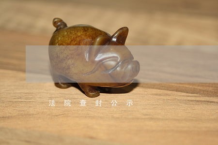 法院查封公示 法院查封公示