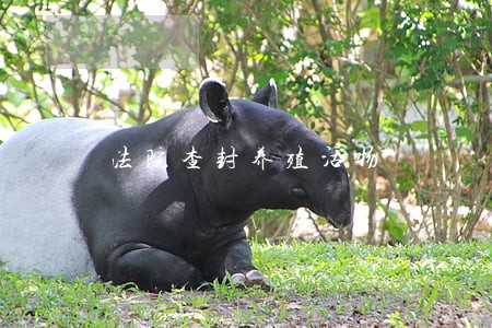 法院查封养殖活物