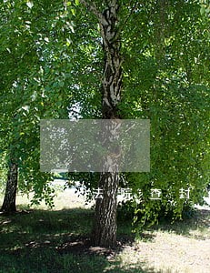 法院查封南阳盛轩置业有限公司 法院查封南阳盛轩置业有限公司