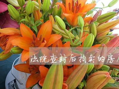 法院查封后拍卖的房屋 法院查封后拍卖的房屋