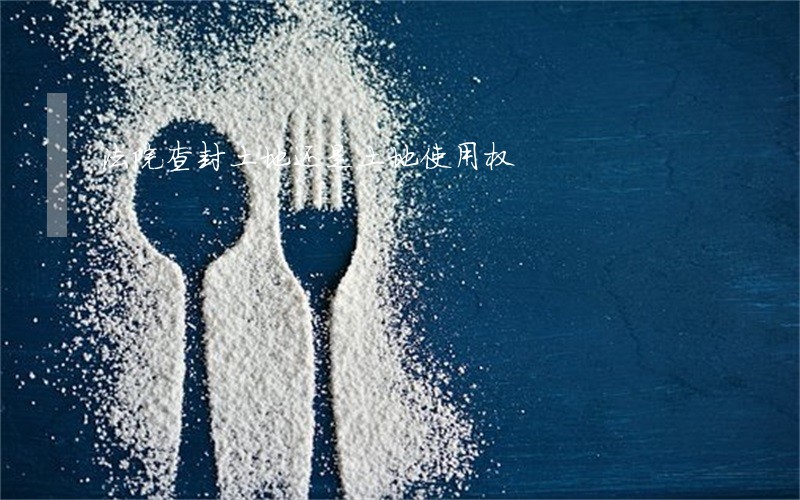 法院查封土地还是土地使用权 法院查封土地还是土地使用权