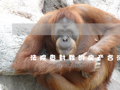 法院查封我的房产合法吗 法院查封我的房产合法吗