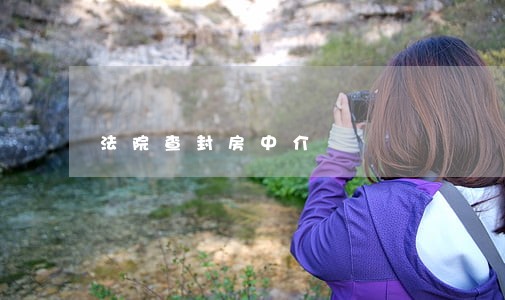 法院查封房中介 法院查封房中介