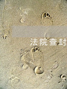 法院查封房产可以拍卖么