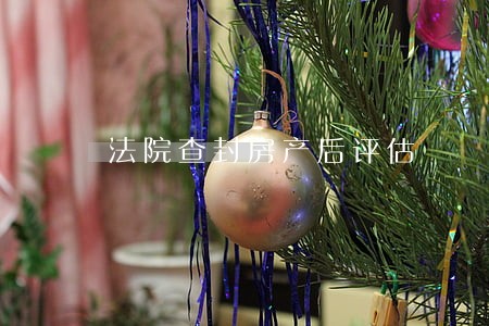 法院查封房产后评估 法院查封房产后评估