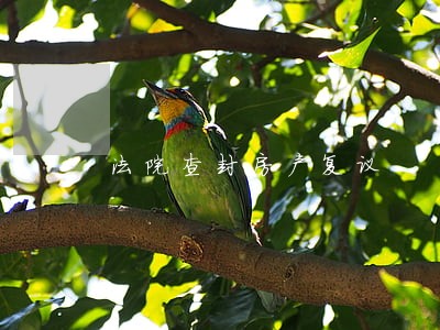 法院查封房产复议 法院查封房产复议