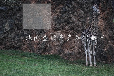 法院查封房产如何解冻