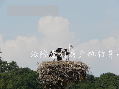 法院查封房产执行异议申请书