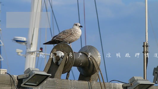 法院查封房产是否注明抵押情况 法院查封房产是否注明抵押情况