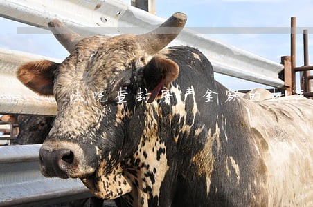 法院查封房产金额的标准
