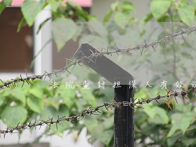 法院查封担保人有效证券吗 法院查封担保人有效证券吗