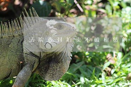 法院查封拍卖不破租赁的例外 法院查封拍卖不破租赁的例外