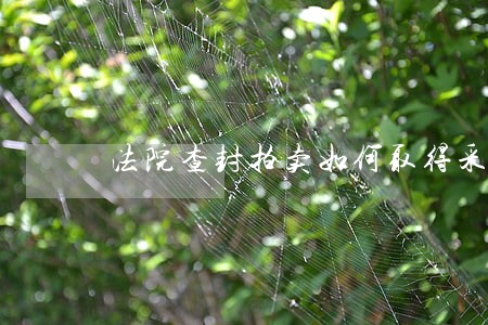 法院查封拍卖如何取得采矿权
