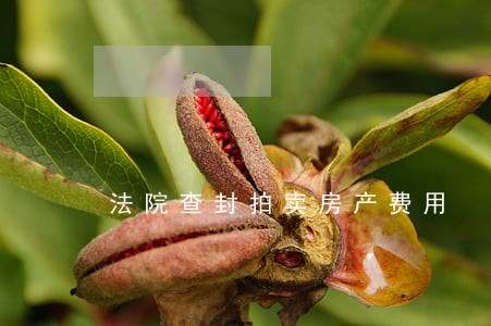 法院查封拍卖房产费用 法院查封拍卖房产费用
