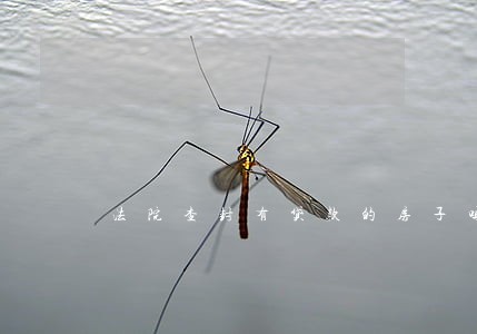 法院查封有贷款的房子吗 法院查封有贷款的房子吗