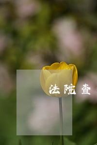 法院查封期间购置税滞纳金要交吗 法院查封期间购置税滞纳金要交吗