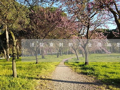 法院查封的工业用地怎么样解封 法院查封的工业用地怎么样解封