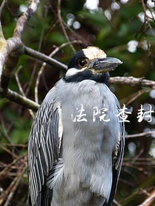 法院查封的市场可以营业吗 法院查封的市场可以营业吗